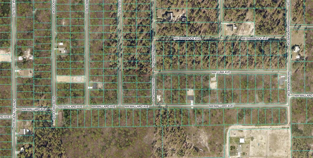 Property for sale at 156 NW REDWING ROAD, DUNNELLON, FL, 34431