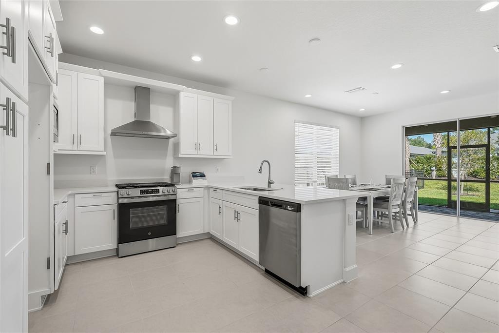Property for sale at 32565 VENETO PLACE, WESLEY CHAPEL, FL, 33543