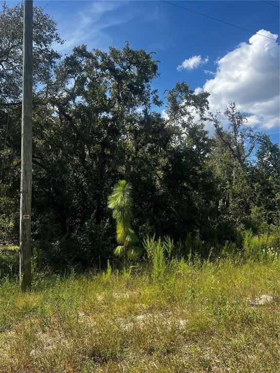 Property for sale at 0 CRIDER ROAD, WEEKI WACHEE, FL, 34614