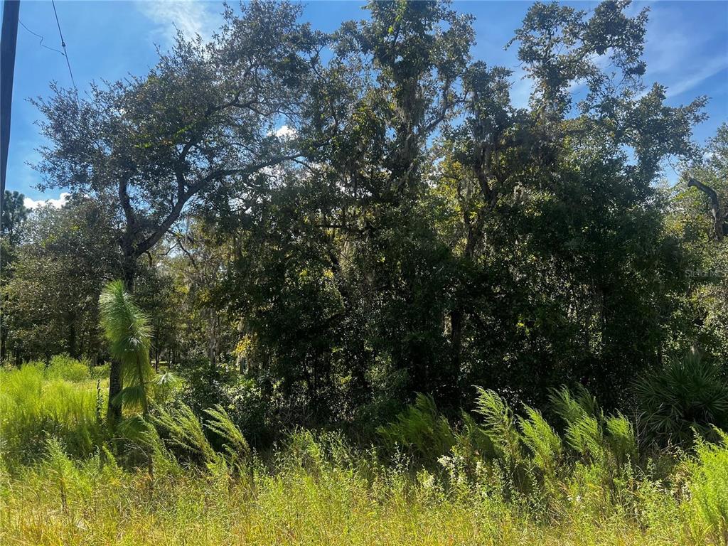 Property for sale at 0 CRIDER ROAD, WEEKI WACHEE, FL, 34614