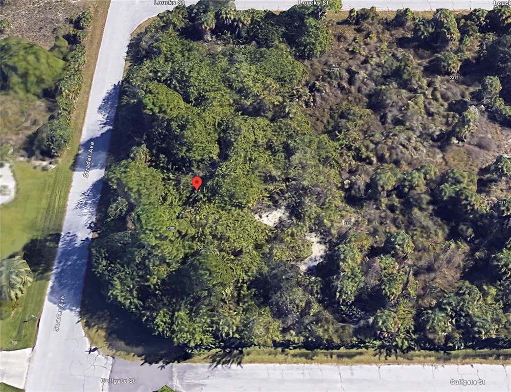 Property for sale at 14143 STRADER AVENUE, PORT CHARLOTTE, FL, 33953