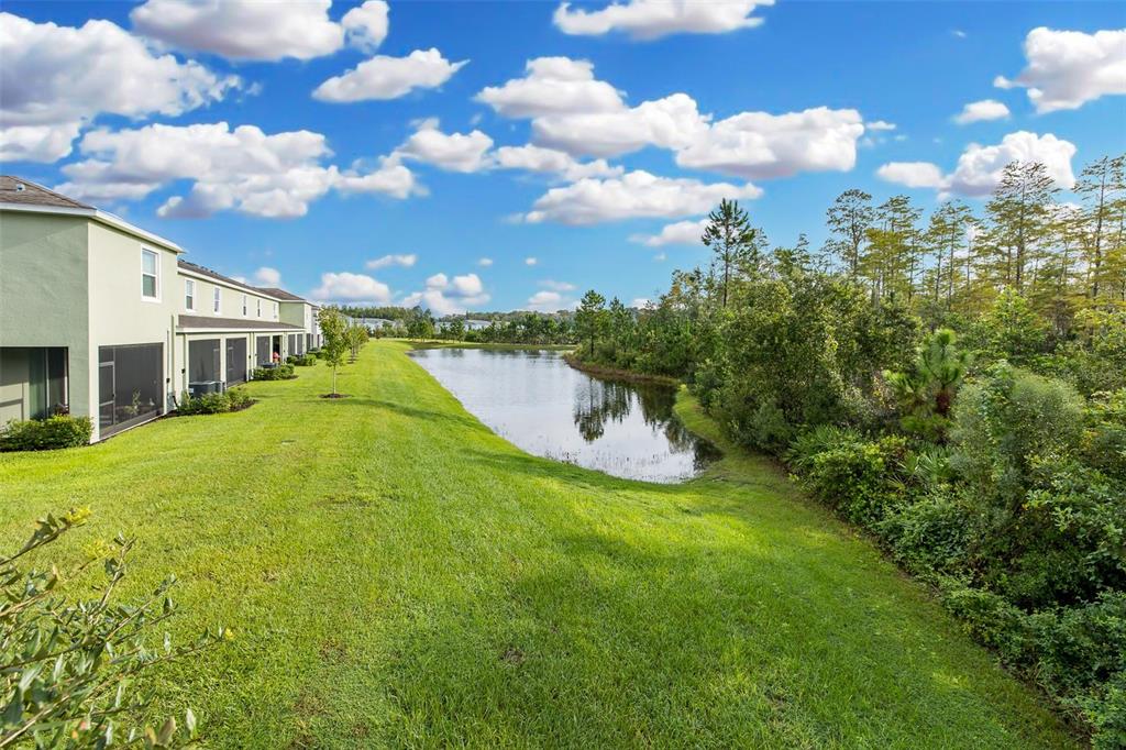 Gorgeous Backyard Conservation View