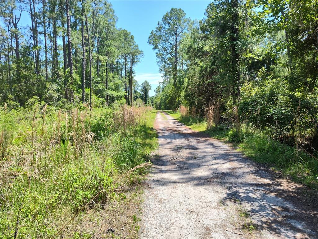 Property for sale at 0000 NE 66TH AVENUE, CITRA, FL, 32113