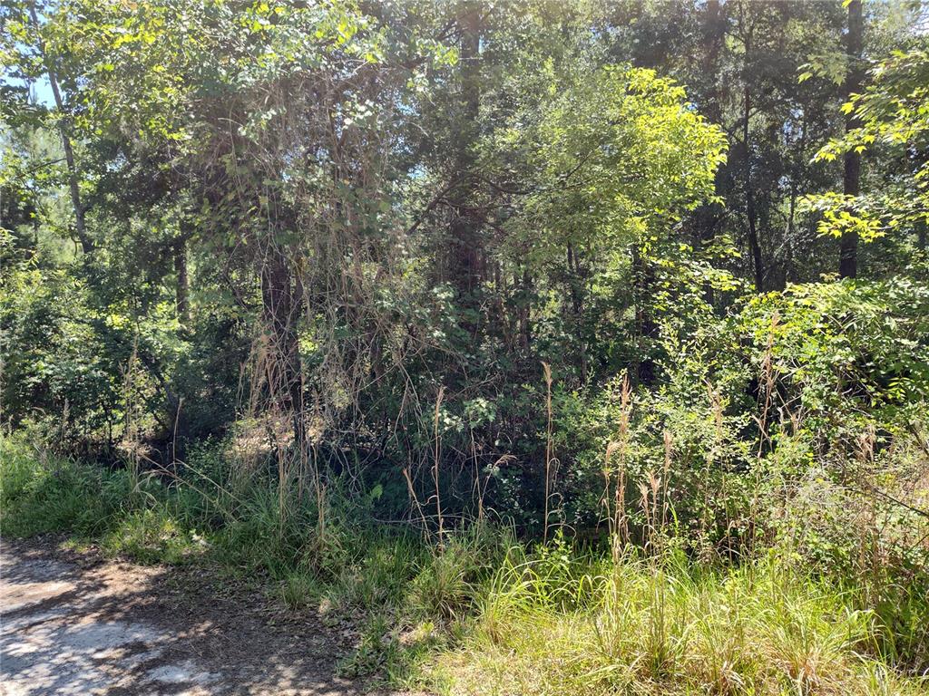 Property for sale at 0000 NE 66TH AVENUE, CITRA, FL, 32113