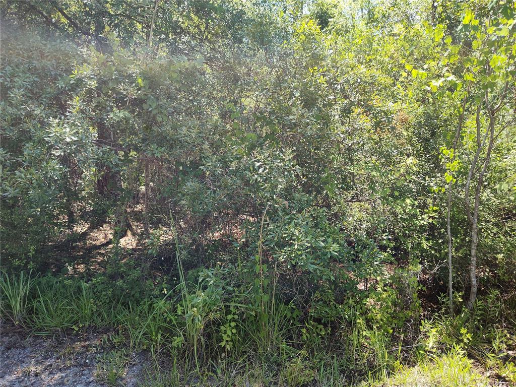 Property for sale at 0000 NE 66TH AVENUE, CITRA, FL, 32113