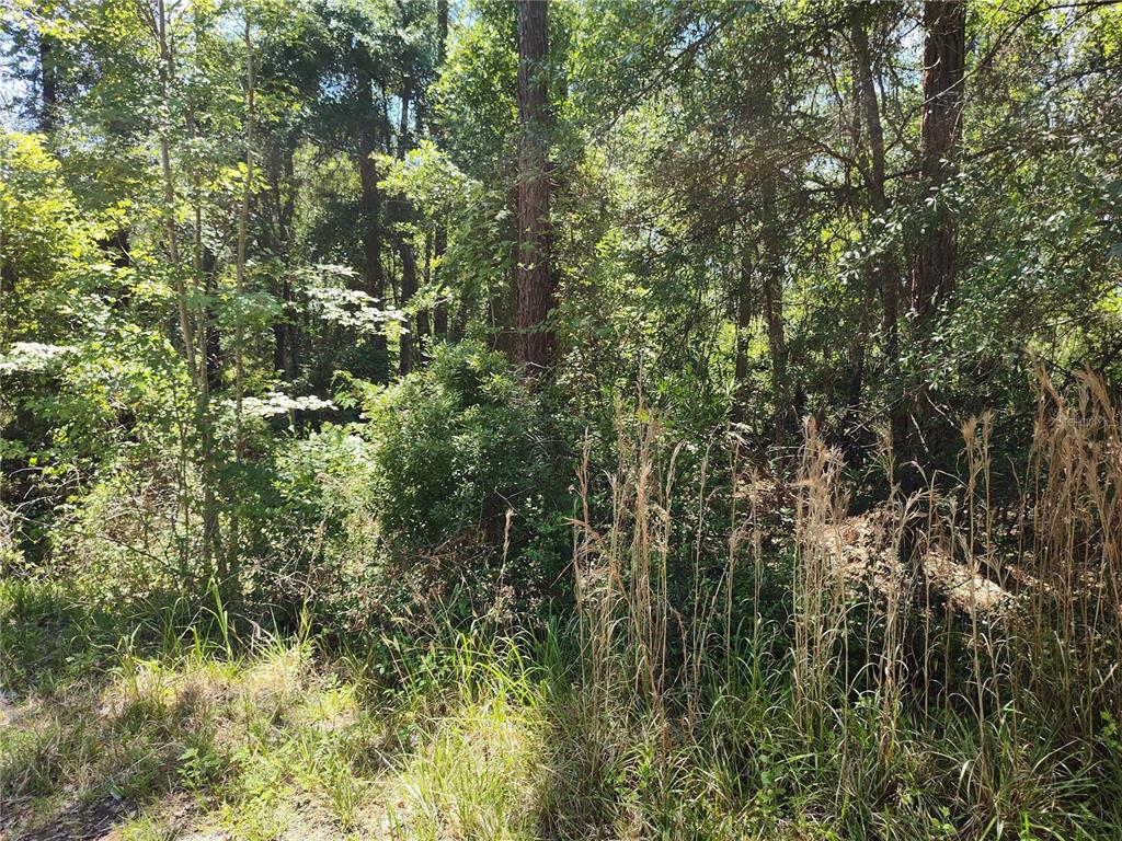 Property for sale at 0000 NE 66TH AVENUE, CITRA, FL, 32113