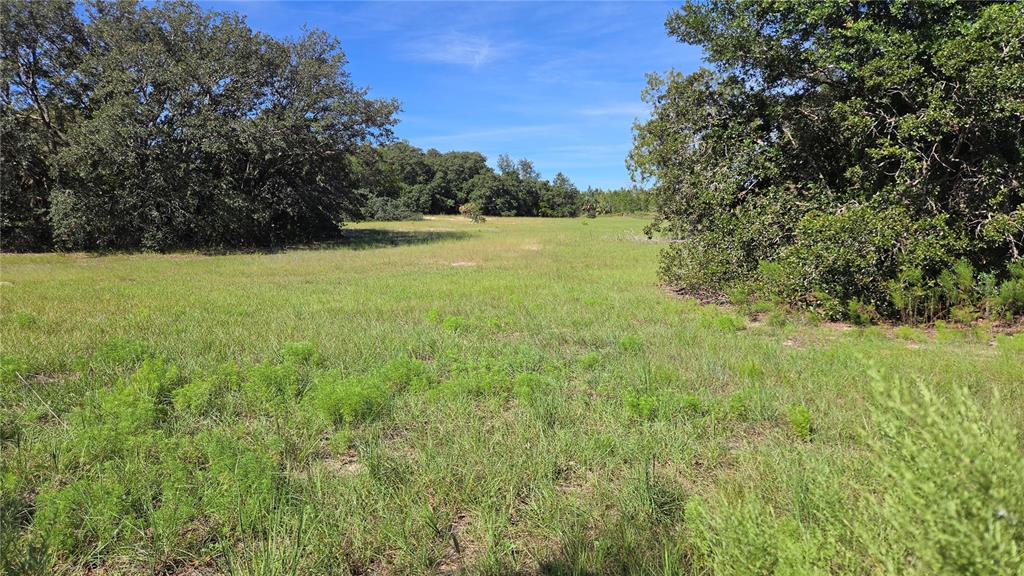 Property for sale at 6360 S GEORGIAN ROAD, HOMOSASSA, FL, 34446