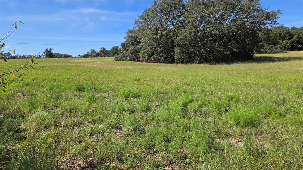 Property for sale at 6360 S GEORGIAN ROAD, HOMOSASSA, FL, 34446