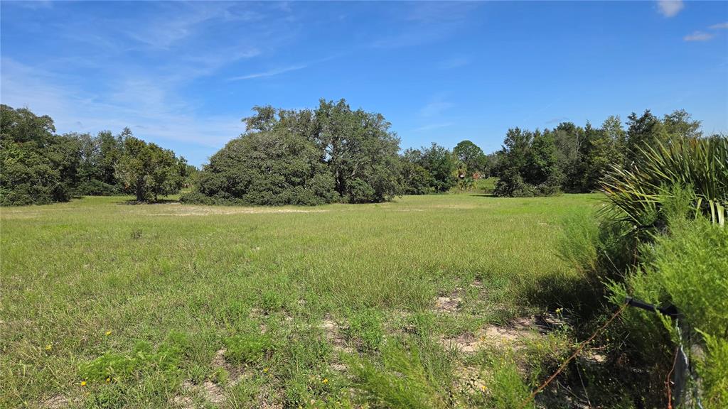 Property for sale at 6360 S GEORGIAN ROAD, HOMOSASSA, FL, 34446