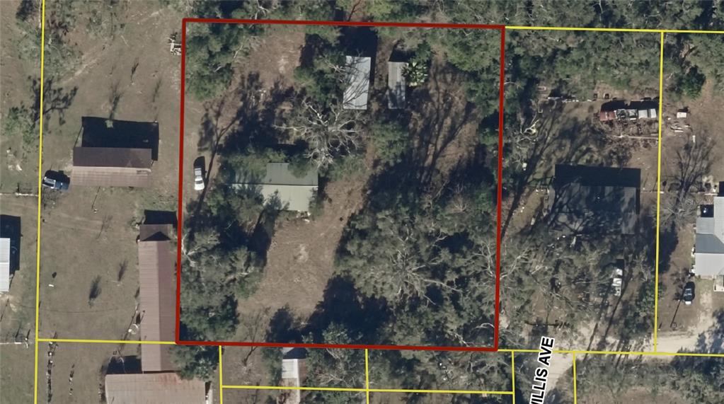 Property for sale at 101 NE SCHOOLHOUSE LANE, MAYO, FL, 32066