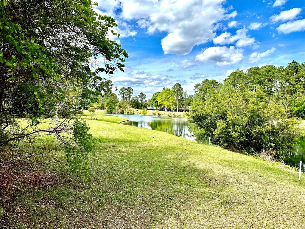 Property for sale at 85144 NAPEAGUE DRIVE, FERNANDINA BEACH, FL, 32034