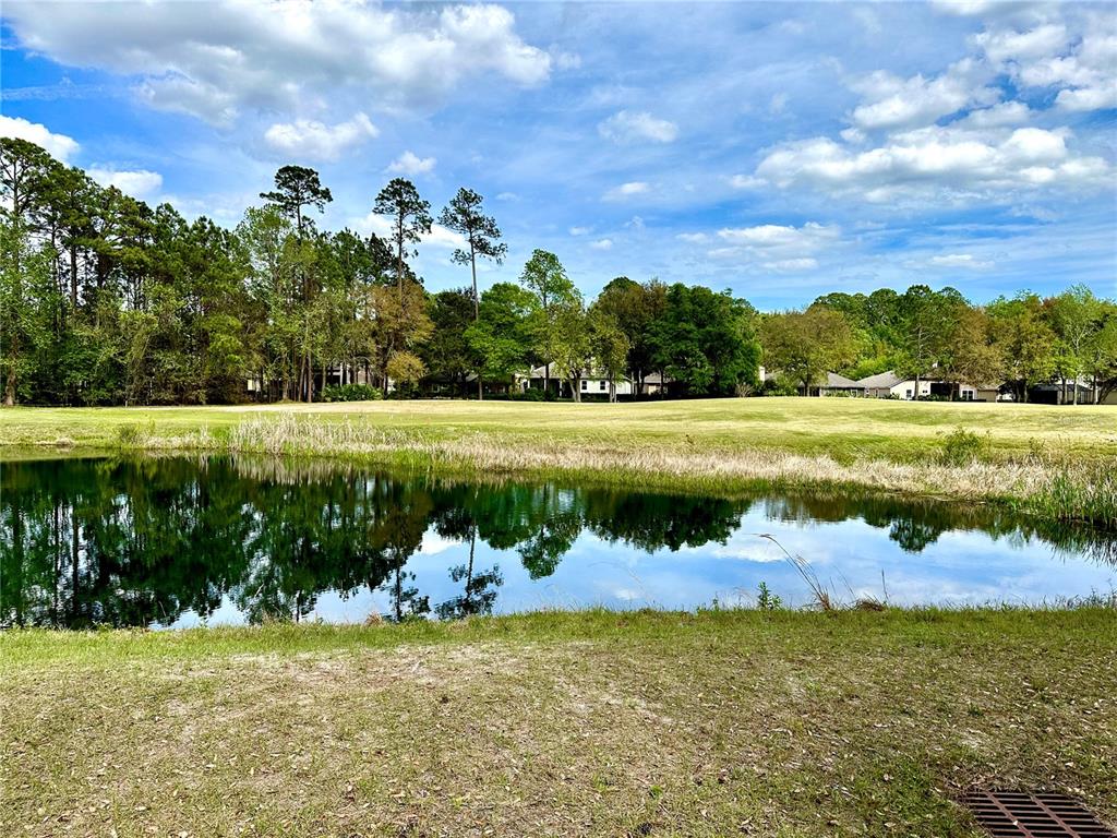 Property for sale at 85144 NAPEAGUE DRIVE, FERNANDINA BEACH, FL, 32034