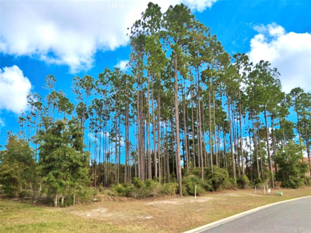 Property for sale at 85144 NAPEAGUE DRIVE, FERNANDINA BEACH, FL, 32034