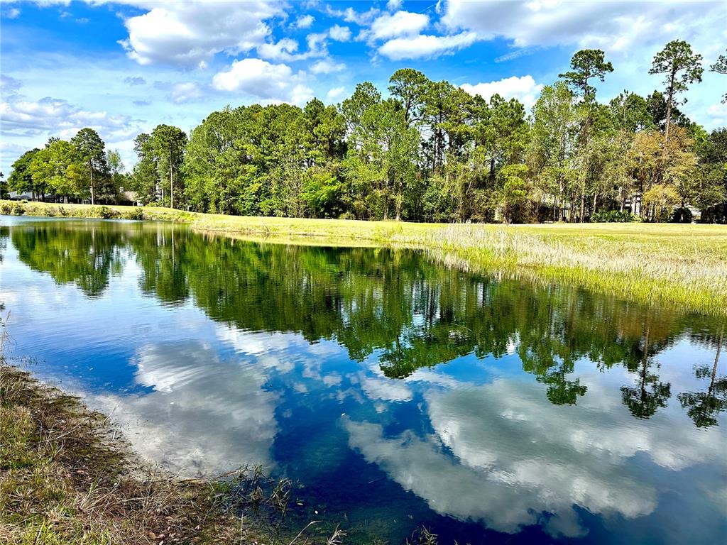 Property for sale at 85144 NAPEAGUE DRIVE, FERNANDINA BEACH, FL, 32034