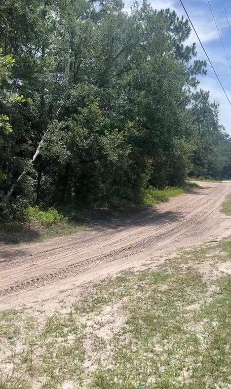 Property for sale at SW 156TH PLACE, DUNNELLON, FL, 34432