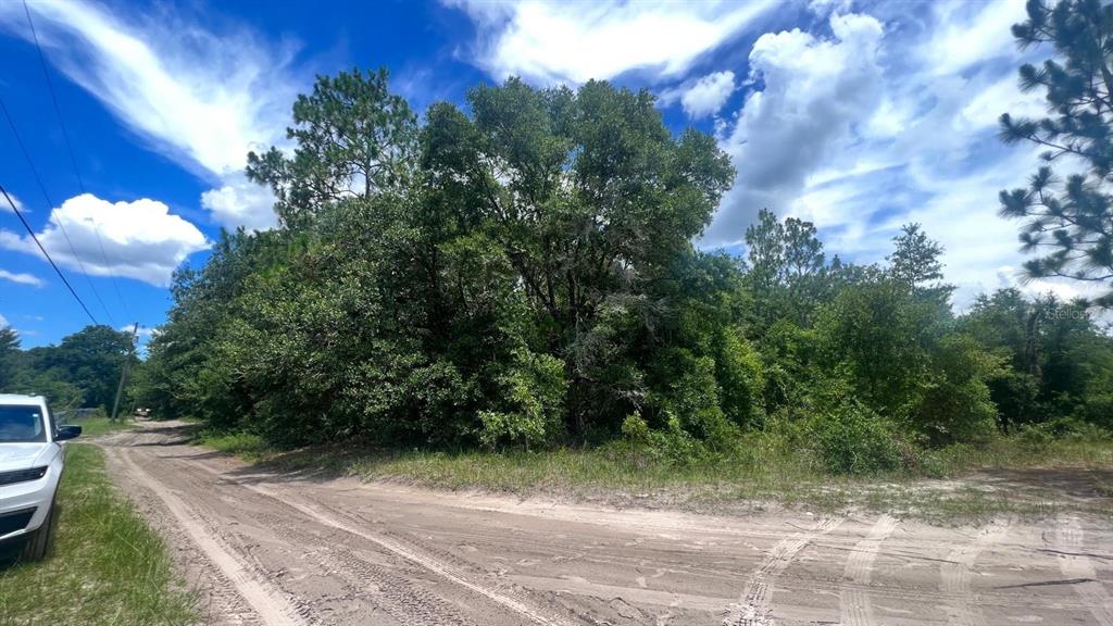 Property for sale at SW 156TH PLACE, DUNNELLON, FL, 34432