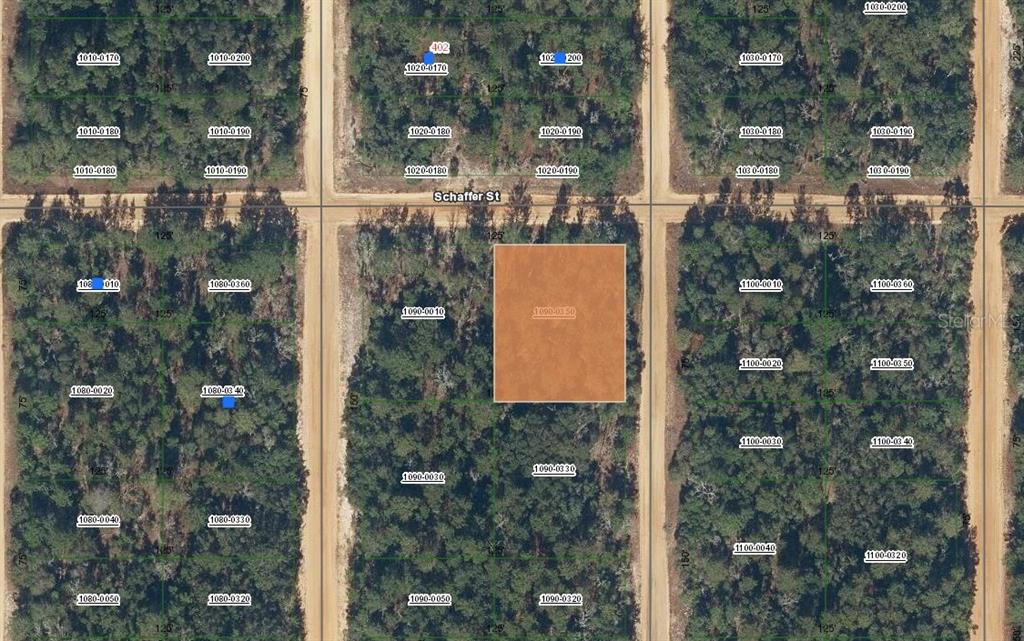 Property for sale at 00 SHAPPELL AVENUE, INTERLACHEN, FL, 32148