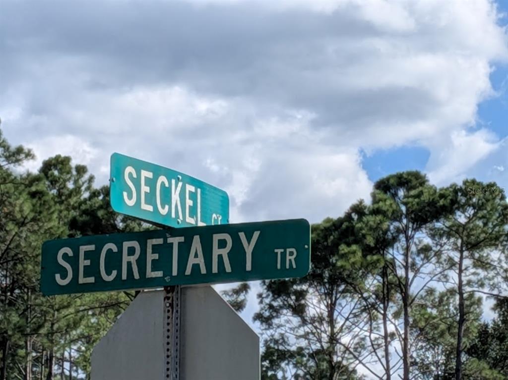 Property for sale at 7 SECKEL CT, PALM COAST, FL, 32164
