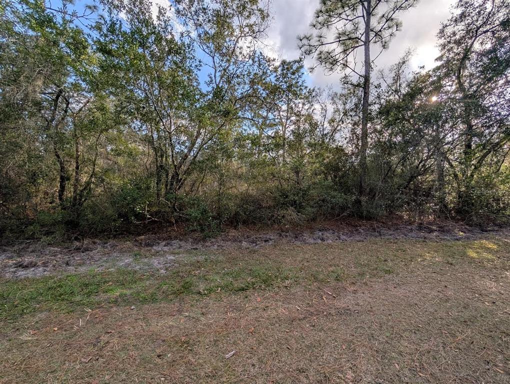 Property for sale at 1005 BOUGAINVILLE DRIVE, INDIAN LAKE ESTATES, FL, 33855