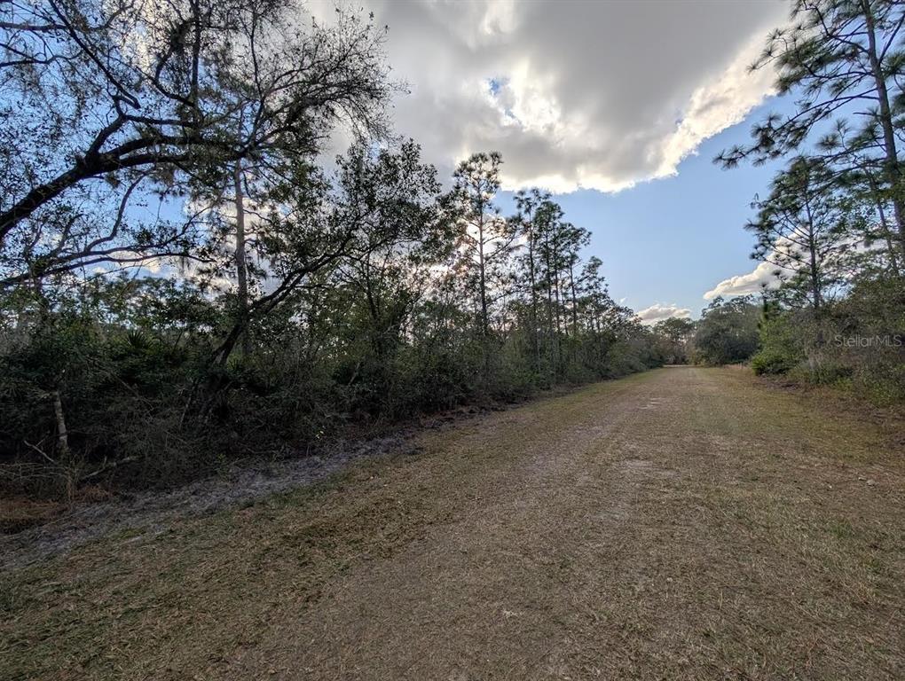 Property for sale at 1005 BOUGAINVILLE DRIVE, INDIAN LAKE ESTATES, FL, 33855