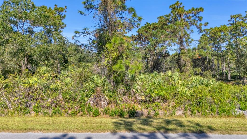 Property for sale at QUINLAN STREET, ORLANDO, FL, 32833