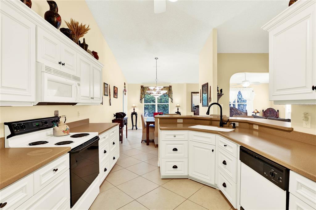 Property for sale at 4721 TARA VIEW ROAD, LEESBURG, FL, 34748