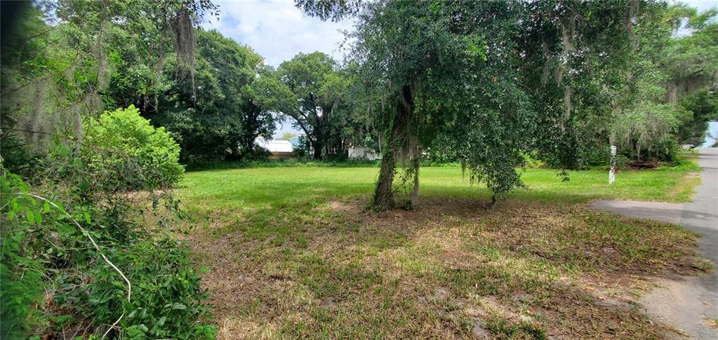 Property for sale at 206 E PINE AVENUE, MOUNT DORA, FL, 32757