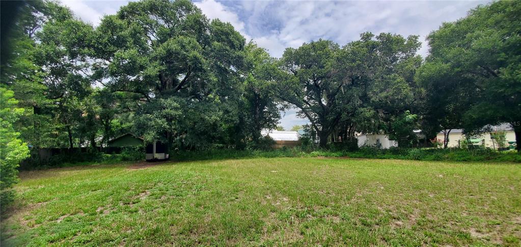 Property for sale at 206 E PINE AVENUE, MOUNT DORA, FL, 32757
