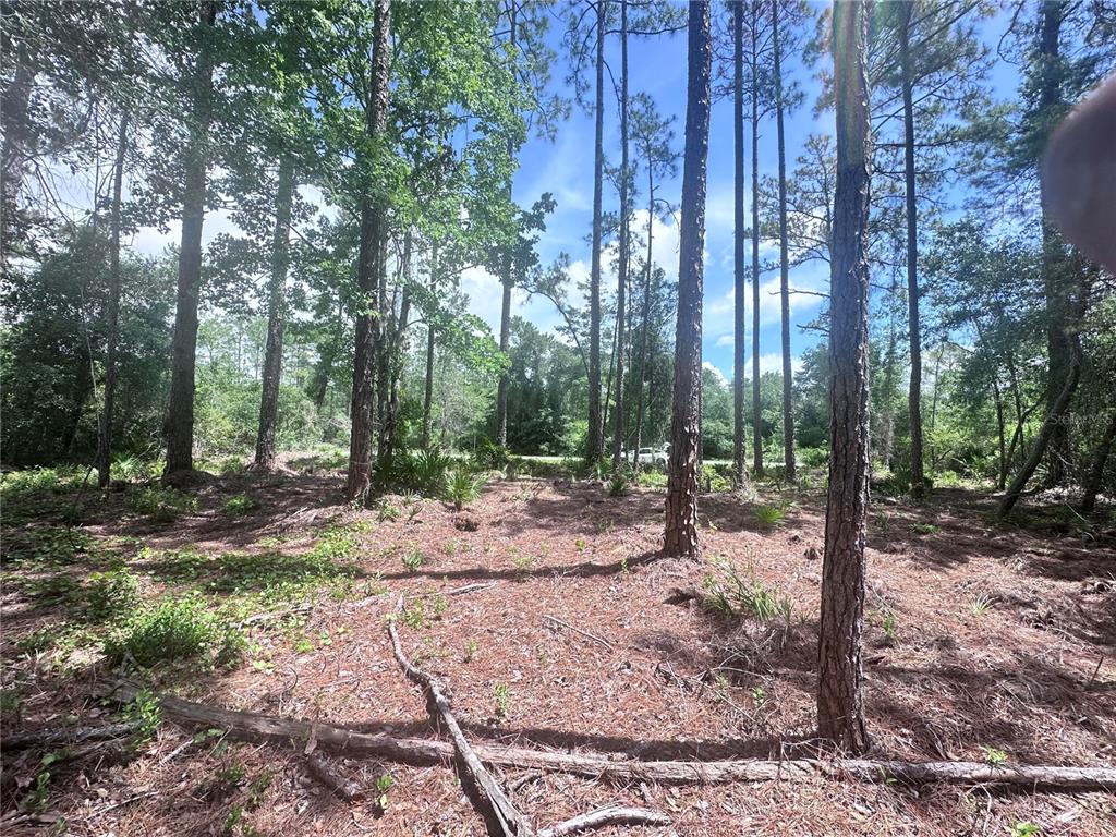Property for sale at 107 S GEORGETOWN POINT ROAD, GEORGETOWN, FL, 32139