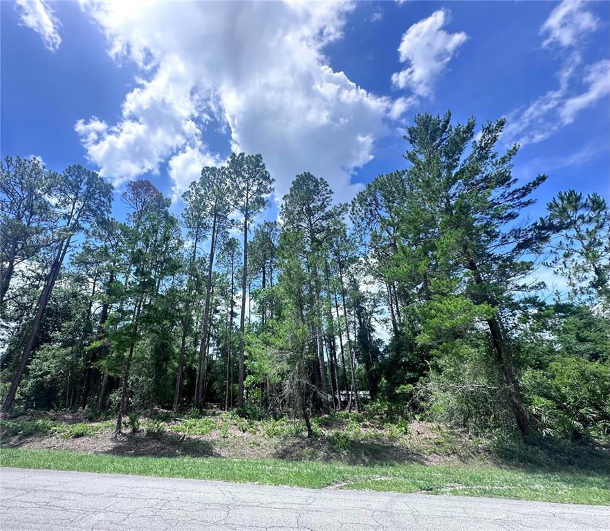 Property for sale at 107 S GEORGETOWN POINT ROAD, GEORGETOWN, FL, 32139