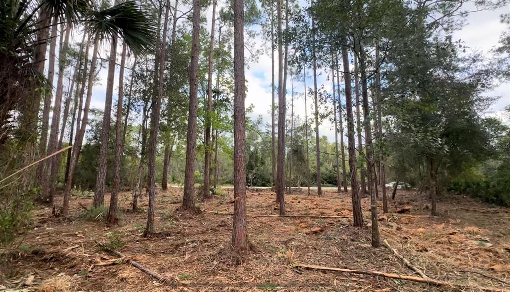 Property for sale at 107 S GEORGETOWN POINT ROAD, GEORGETOWN, FL, 32139