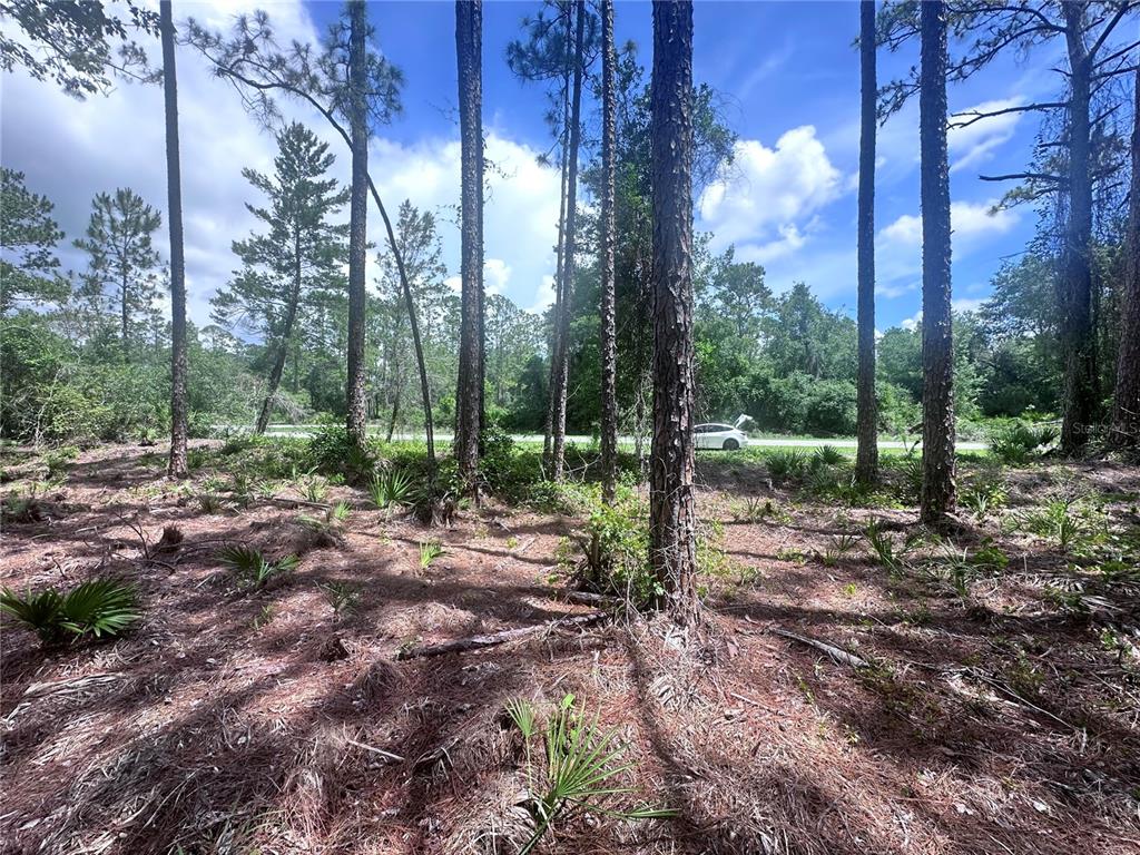 Property for sale at 107 S GEORGETOWN POINT ROAD, GEORGETOWN, FL, 32139