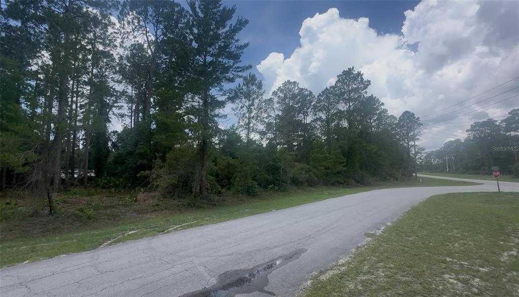 Property for sale at 107 S GEORGETOWN POINT ROAD, GEORGETOWN, FL, 32139