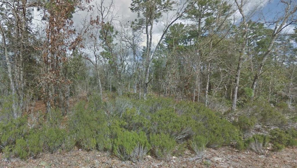Property for sale at 217 CYPRESS STREET, INTERLACHEN, FL, 32148