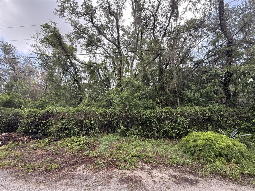 Property for sale at 10934 LEON STREET, NEW PORT RICHEY, FL, 34654