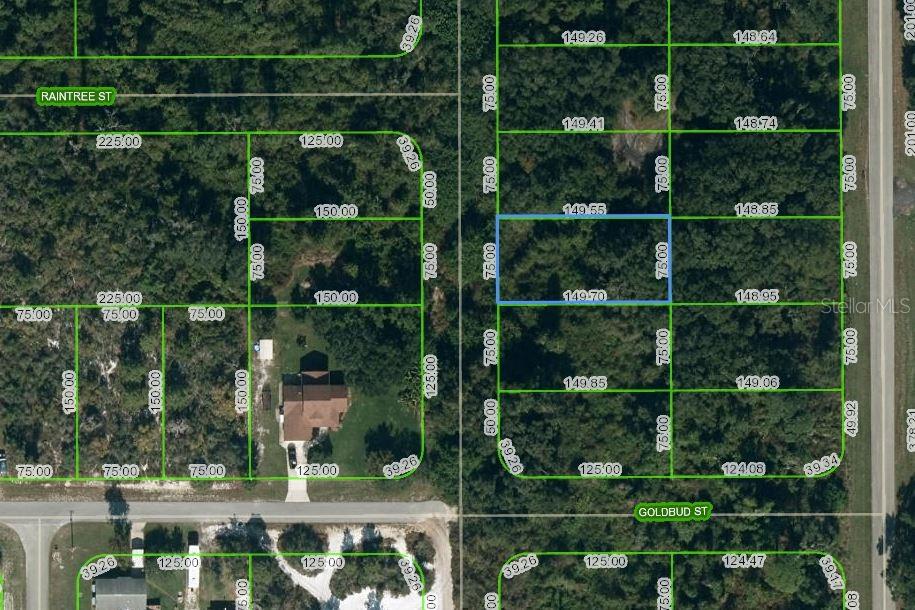 Property for sale at 251 MARSHALL AVENUE, LAKE PLACID, FL, 33852