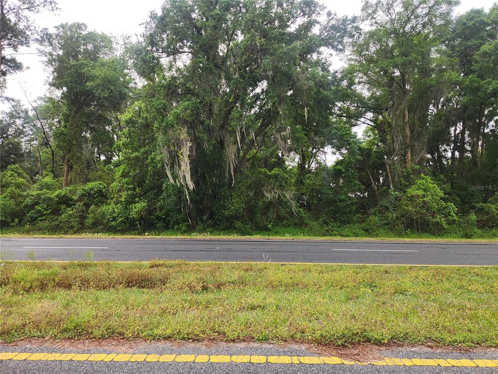 Property for sale at 00 SE HWY 484, SUMMERFIELD, FL, 34491