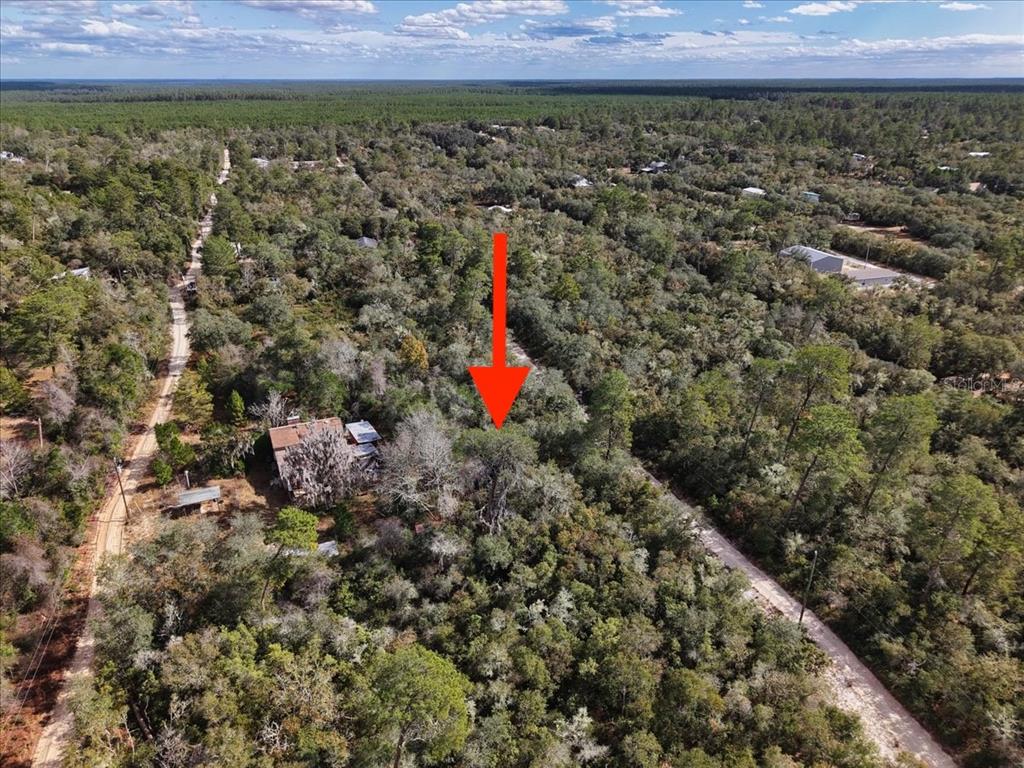 Property for sale at NE 233RD LANE, FORT MC COY, FL, 32134