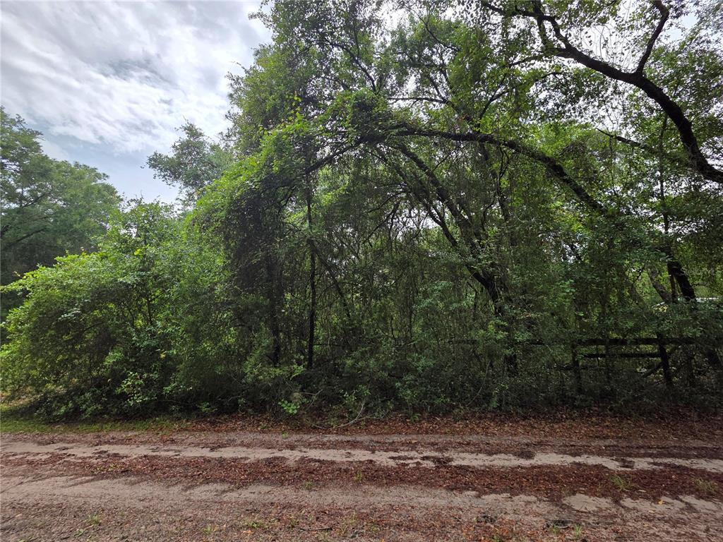 Property for sale at 000 NE 138TH TERRACE, FORT MC COY, FL, 32134