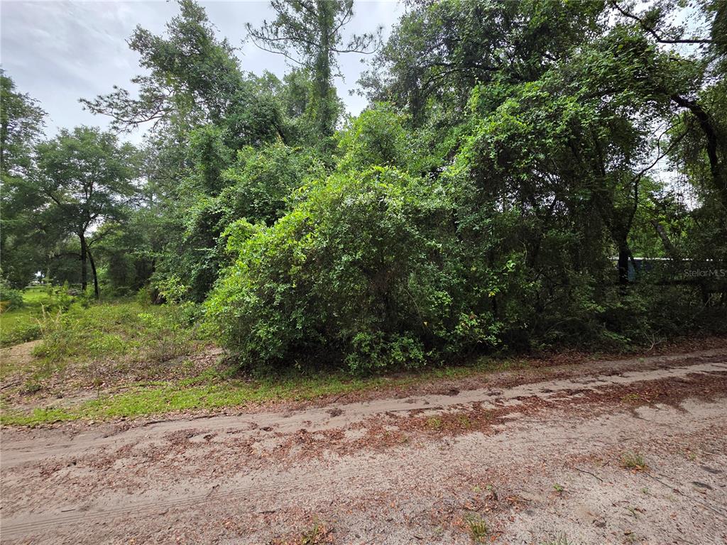 Property for sale at 000 NE 138TH TERRACE, FORT MC COY, FL, 32134