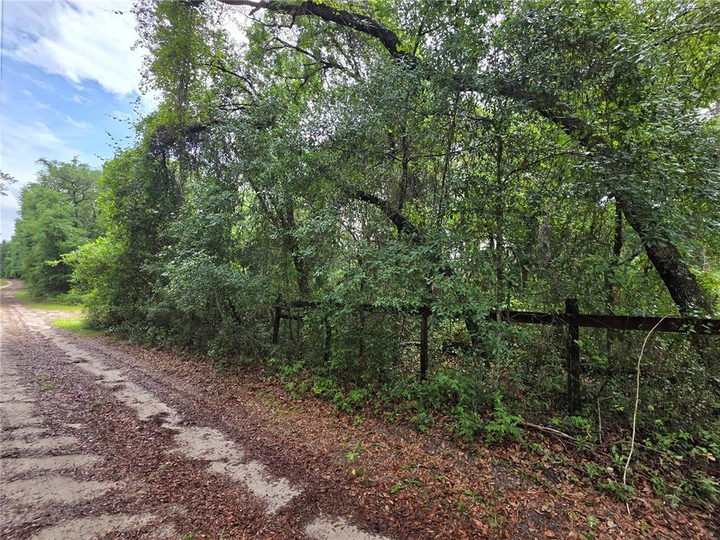 Property for sale at 000 NE 138TH TERRACE, FORT MC COY, FL, 32134
