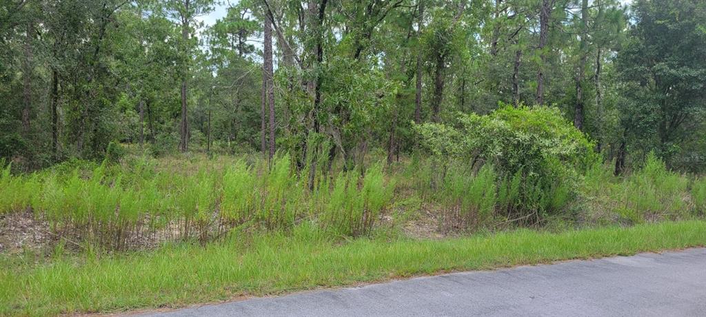 Property for sale at 0 NW CHESTNUT AVENUE, DUNNELLON, FL, 34431