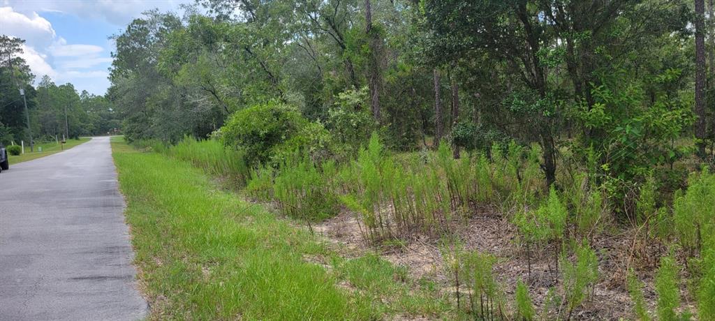 Property for sale at 0 NW CHESTNUT AVENUE, DUNNELLON, FL, 34431