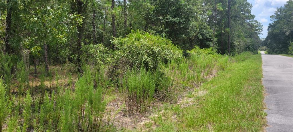 Property for sale at 0 NW CHESTNUT AVENUE, DUNNELLON, FL, 34431
