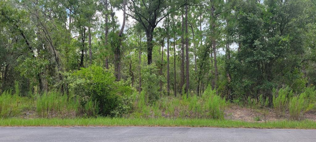 Property for sale at 0 NW CHESTNUT AVENUE, DUNNELLON, FL, 34431