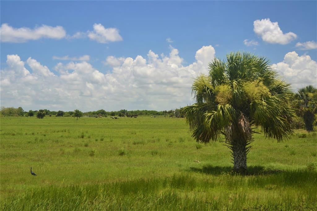 Property for sale at SCHUMANN ROAD, FORT PIERCE, FL, 34945