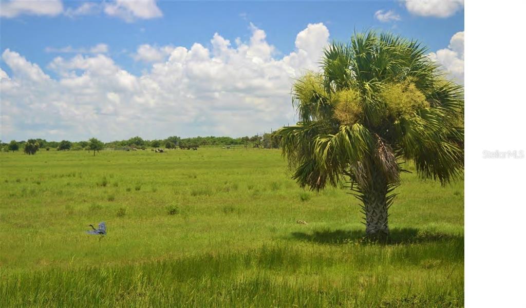 Property for sale at SCHUMANN ROAD, FORT PIERCE, FL, 34945