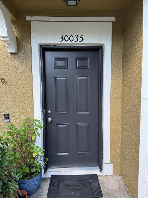 Property for sale at 30035 GRANDA HILLS COURT, WESLEY CHAPEL, FL, 33543
