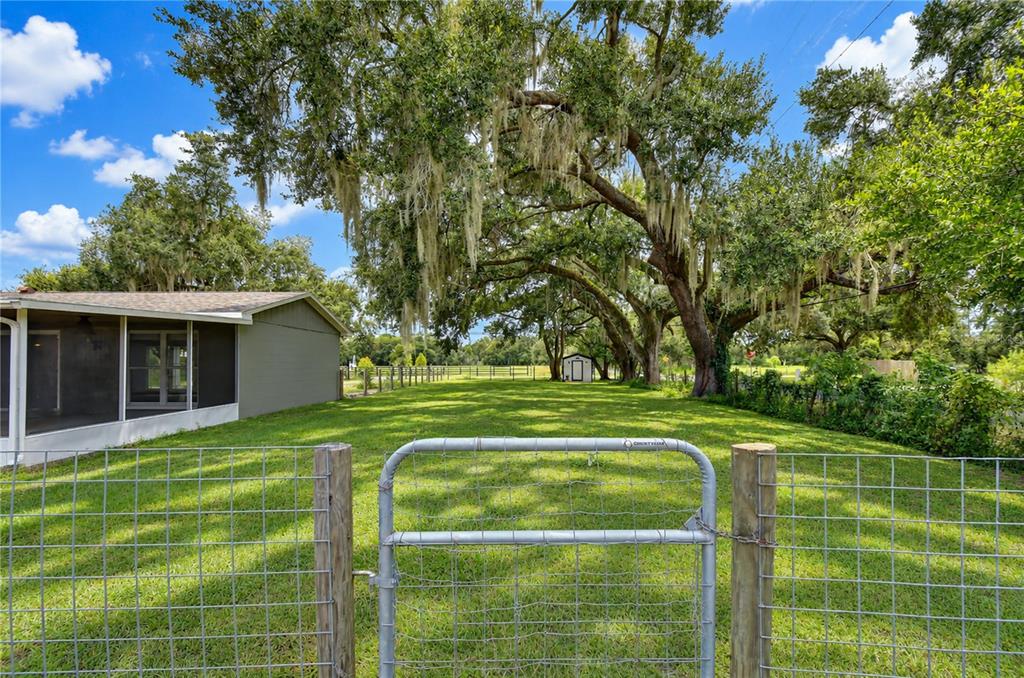 Fenced side yard with chicken coop!
