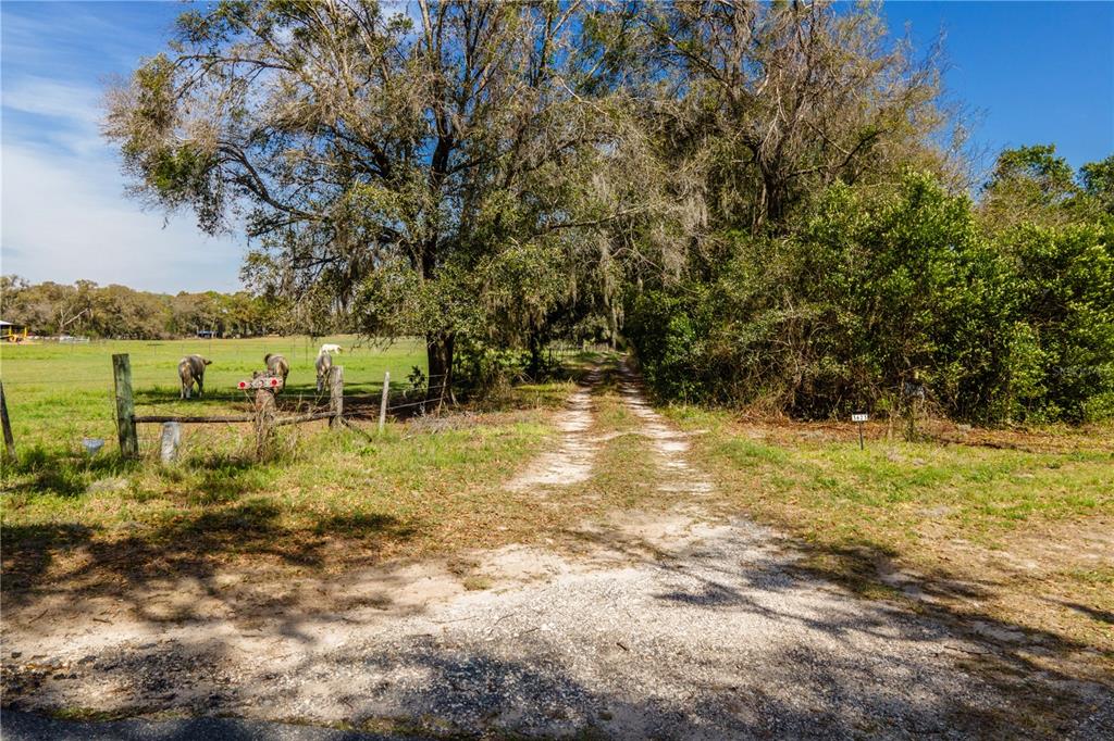 Property for sale at TBD SW 298 STREET, NEWBERRY, FL, 32669